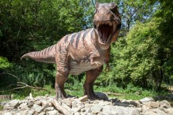 Bratislava per i bambini