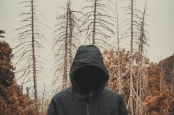 Hostel Movie - Bratislava